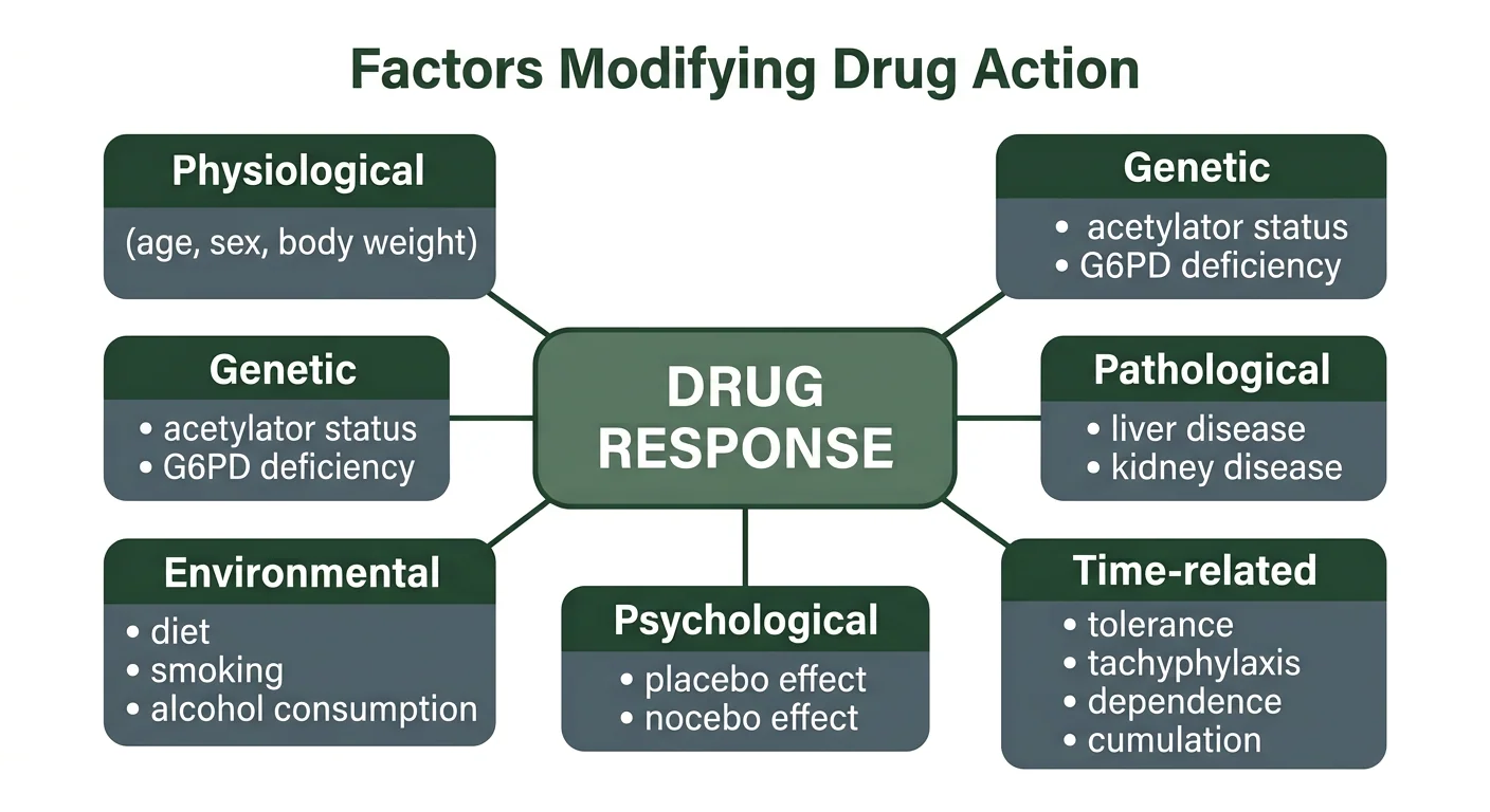 Figure 3 — Factors modifying drug action