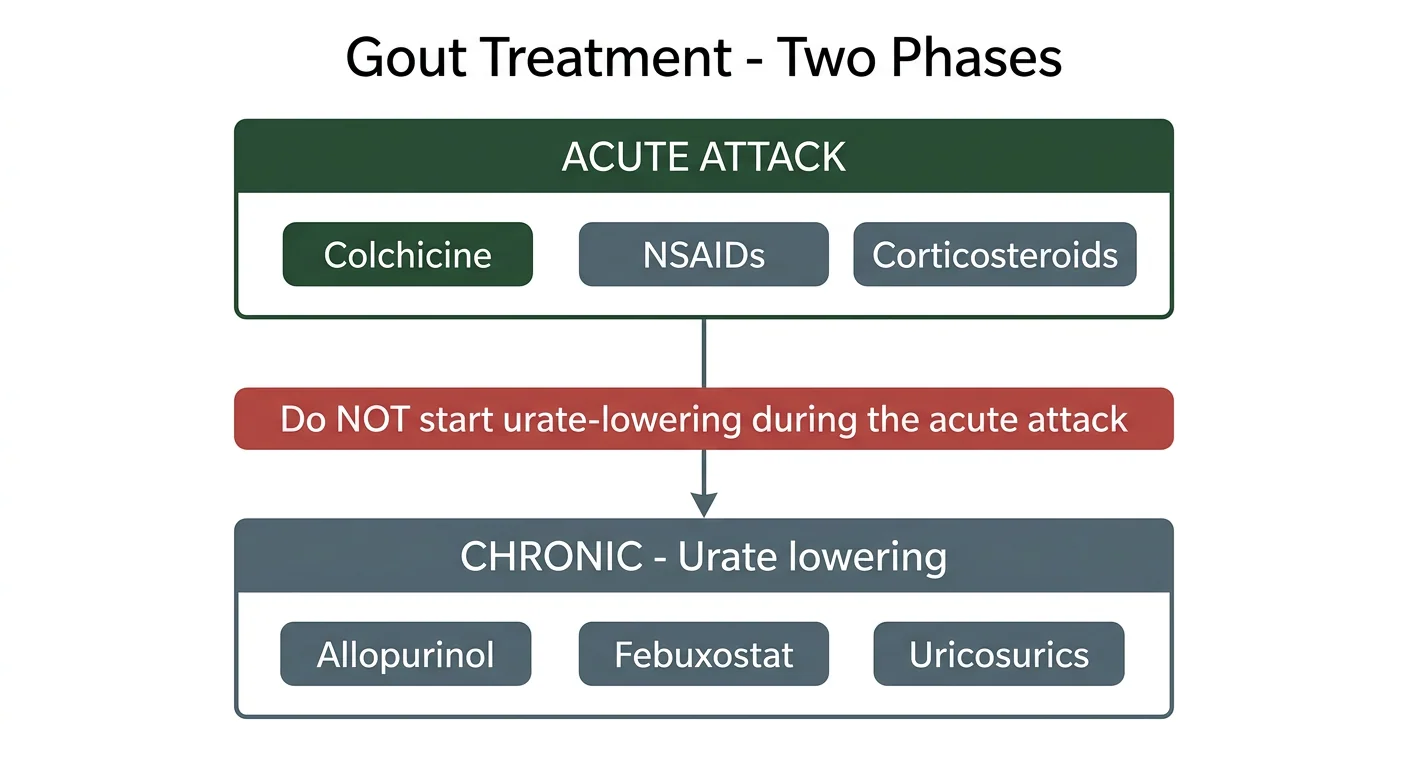 Figure 2 — Acute versus chronic gout treatment