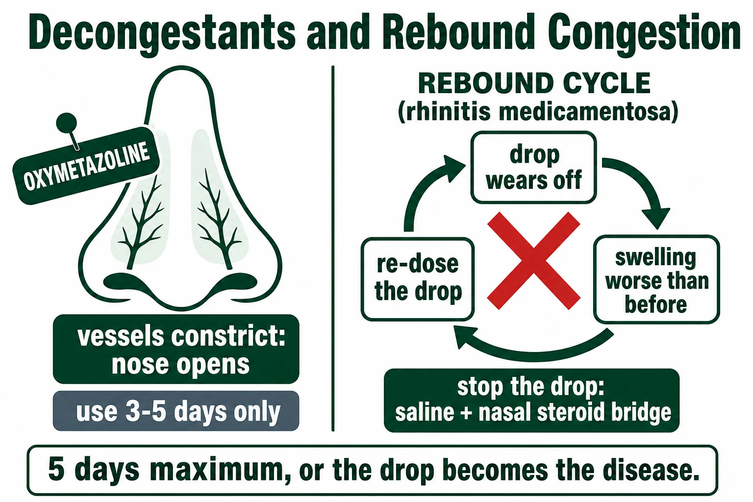 Nasal decongestants and the rebound cycle