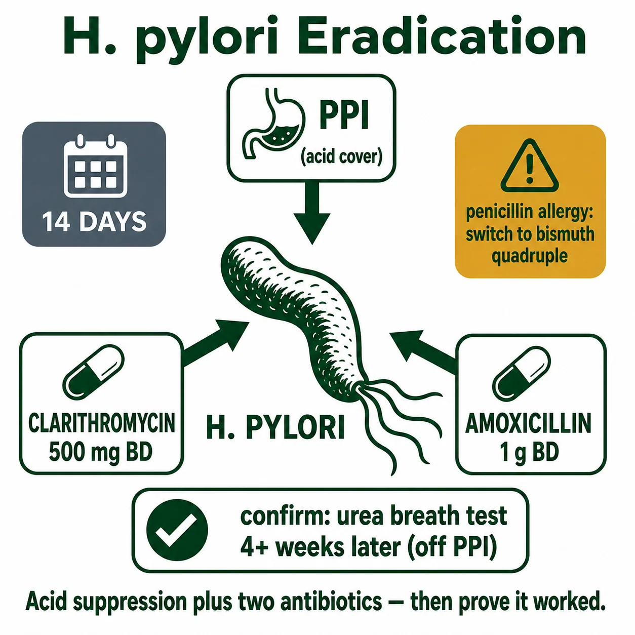 H. pylori triple therapy triangle