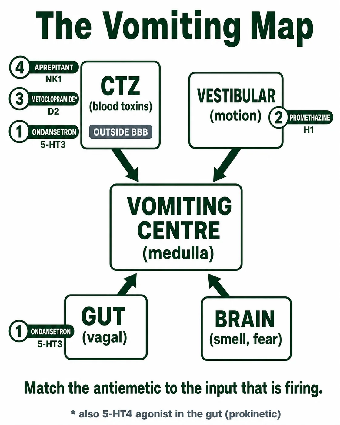 The vomiting map: four inputs, one centre
