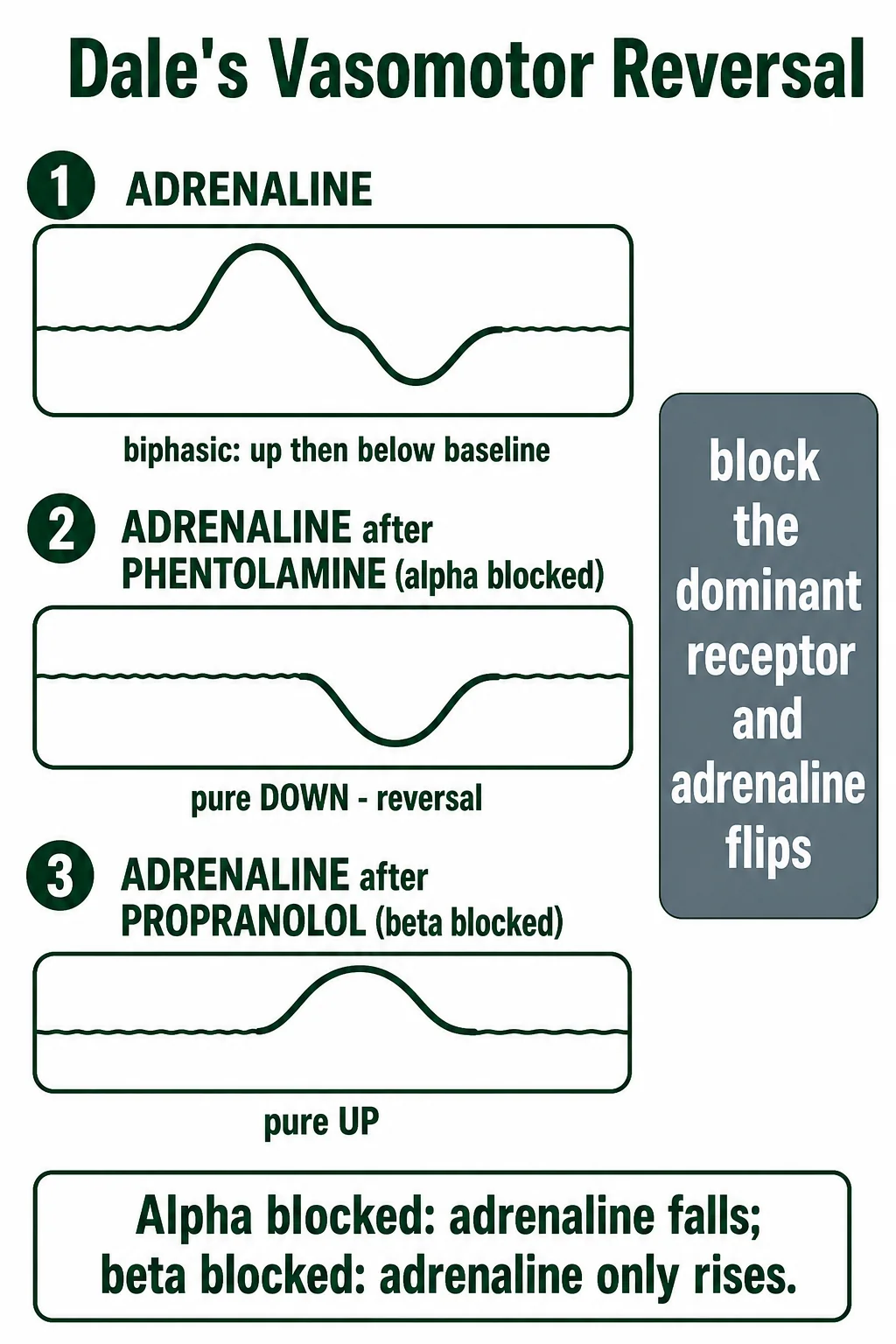 Dale's vasomotor reversal