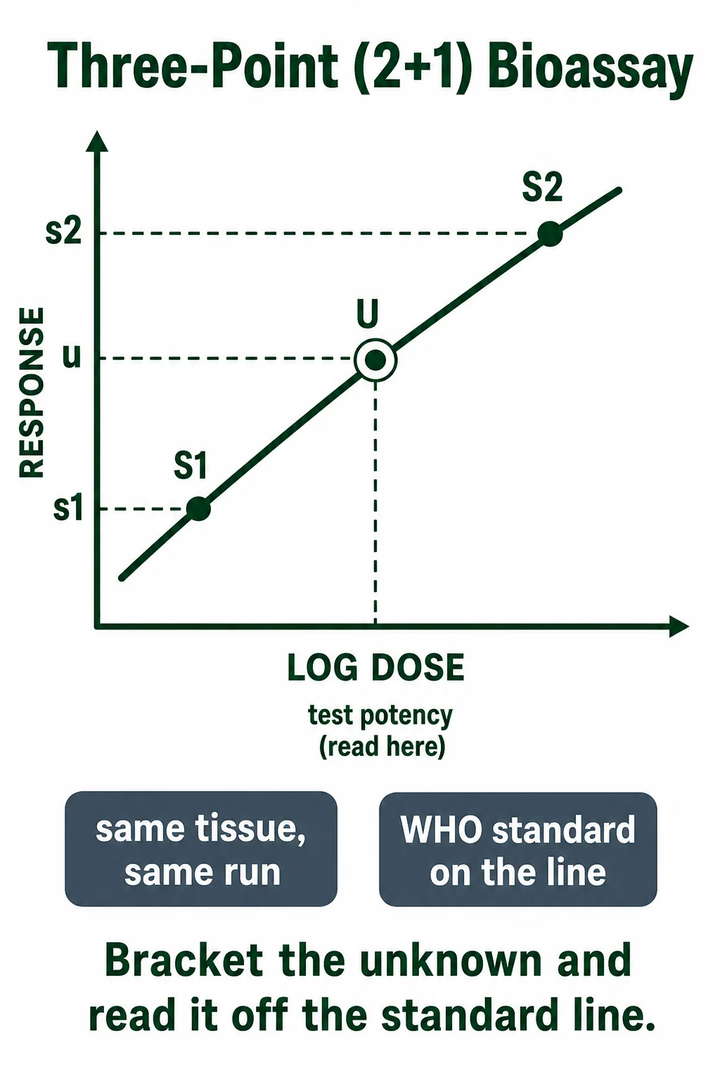 Three-point (2+1) bioassay
